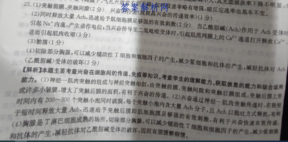 image.png@!test