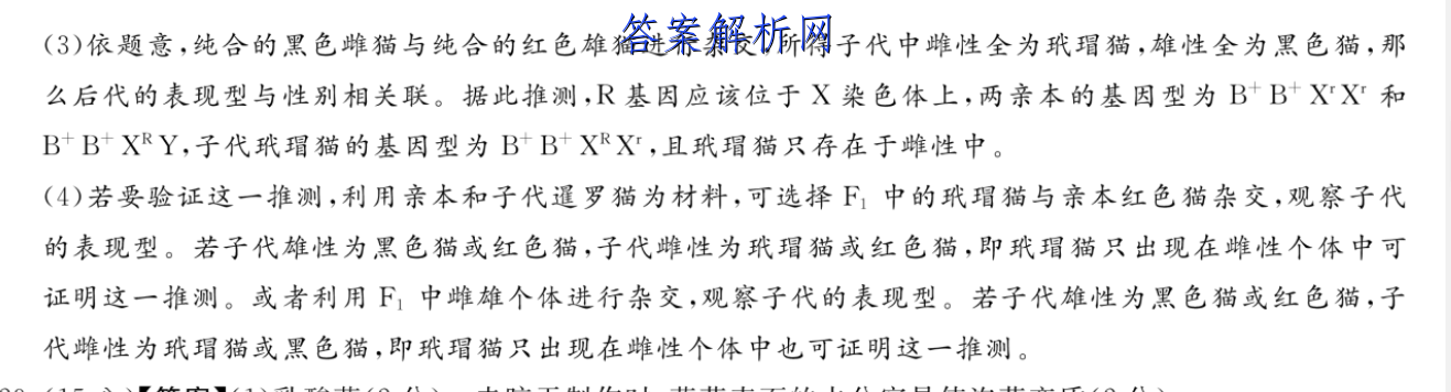 image.png@!test