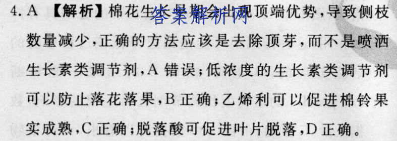 image.png@!test