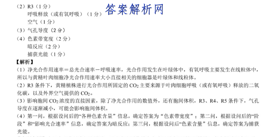image.png@!test