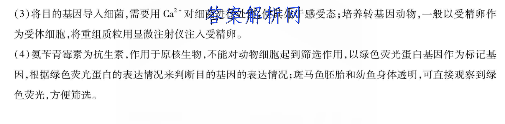 image.png@!test