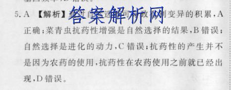 image.png@!test