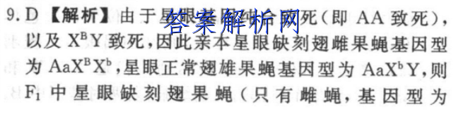 image.png@!test