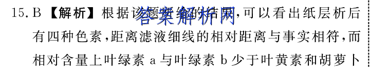 image.png@!test