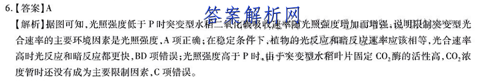 image.png@!test