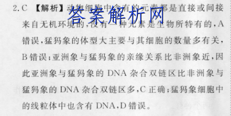 image.png@!test