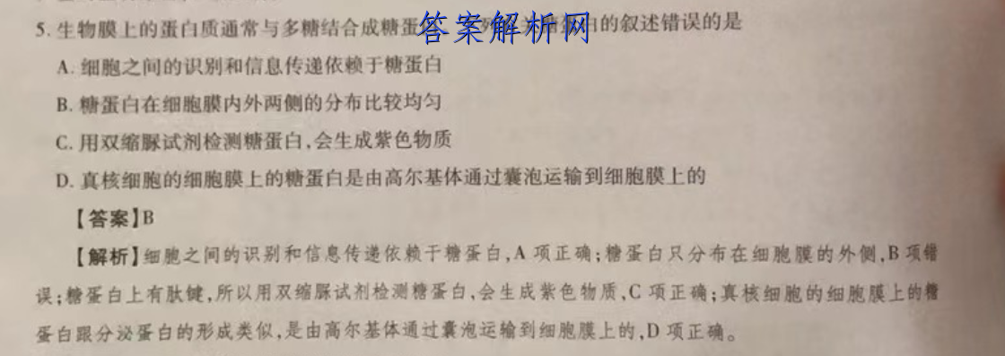 image.png@!test