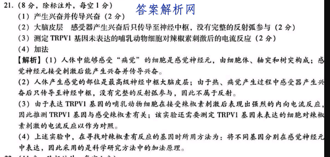 image.png@!test
