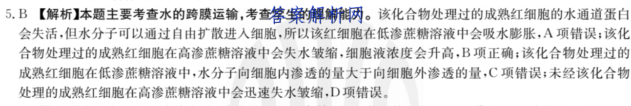 image.png@!test