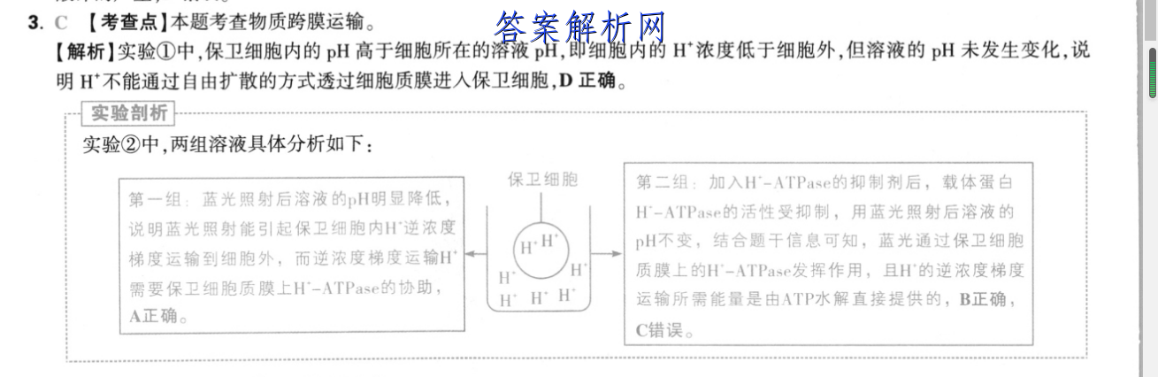 image.png@!test