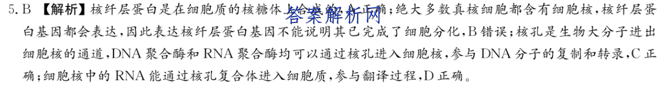image.png@!test