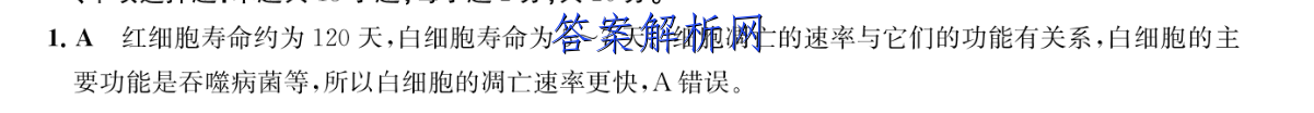 image.png@!test