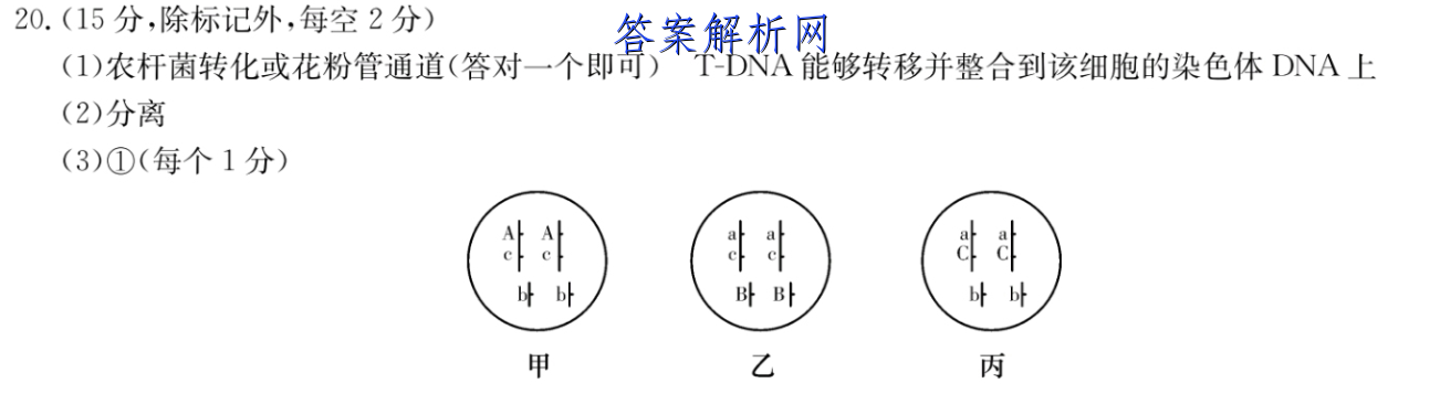 image.png@!test