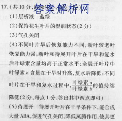 image.png@!test