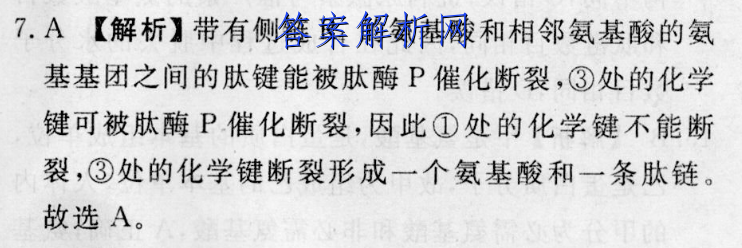 image.png@!test