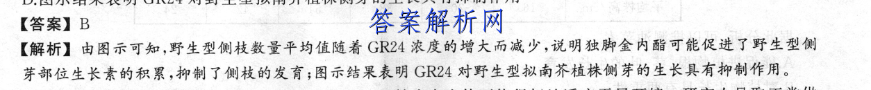 image.png@!test