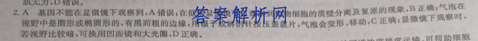 image.png@!test