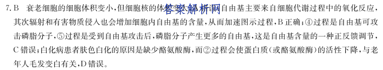 image.png@!test