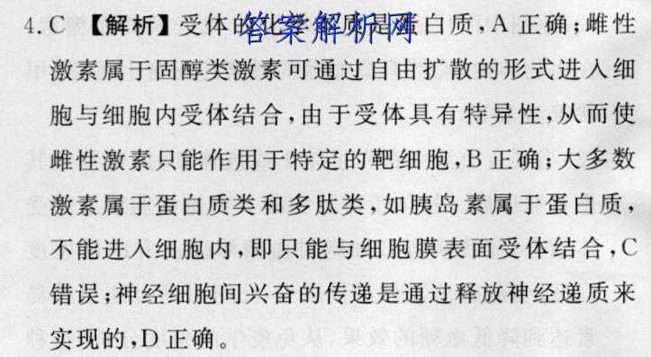 image.png@!test