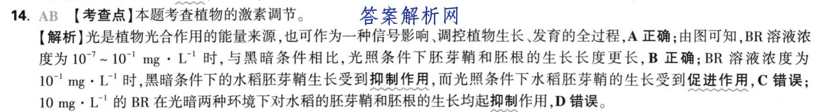 image.png@!test