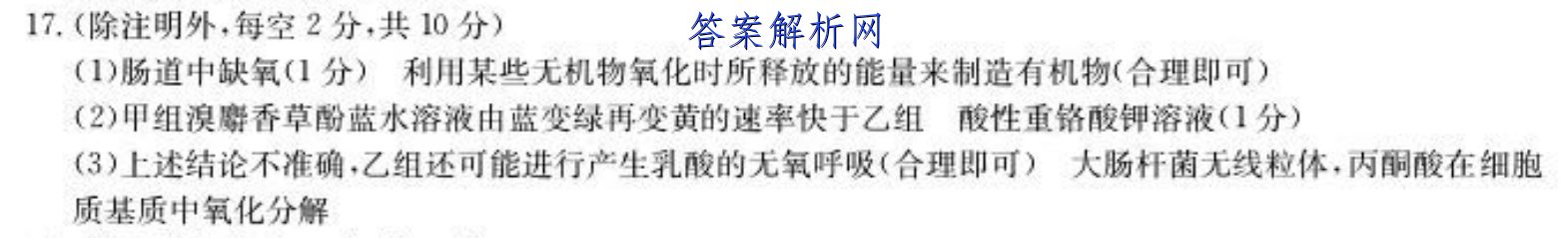image.png@!test