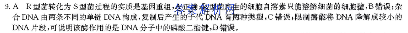 image.png@!test