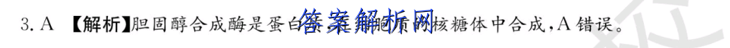 image.png@!test