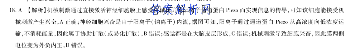 image.png@!test