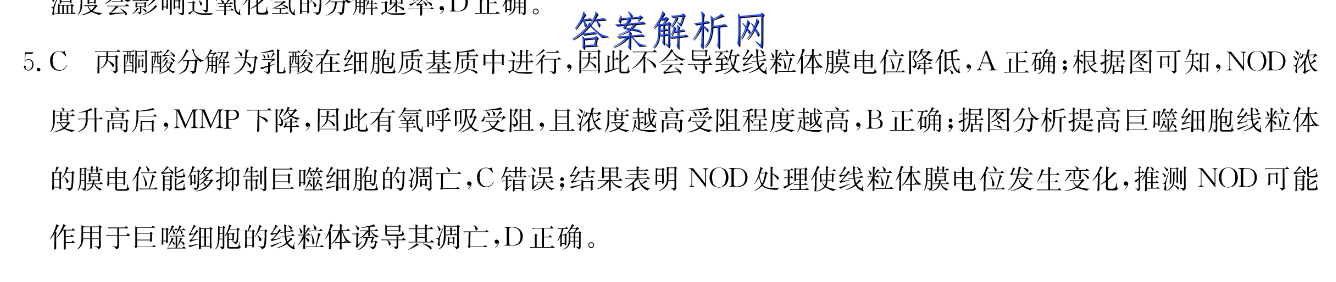 image.png@!test