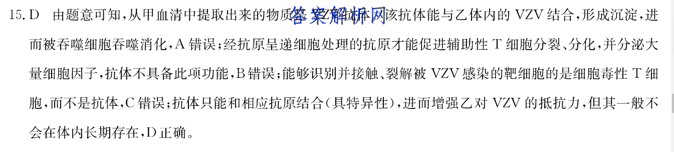 image.png@!test