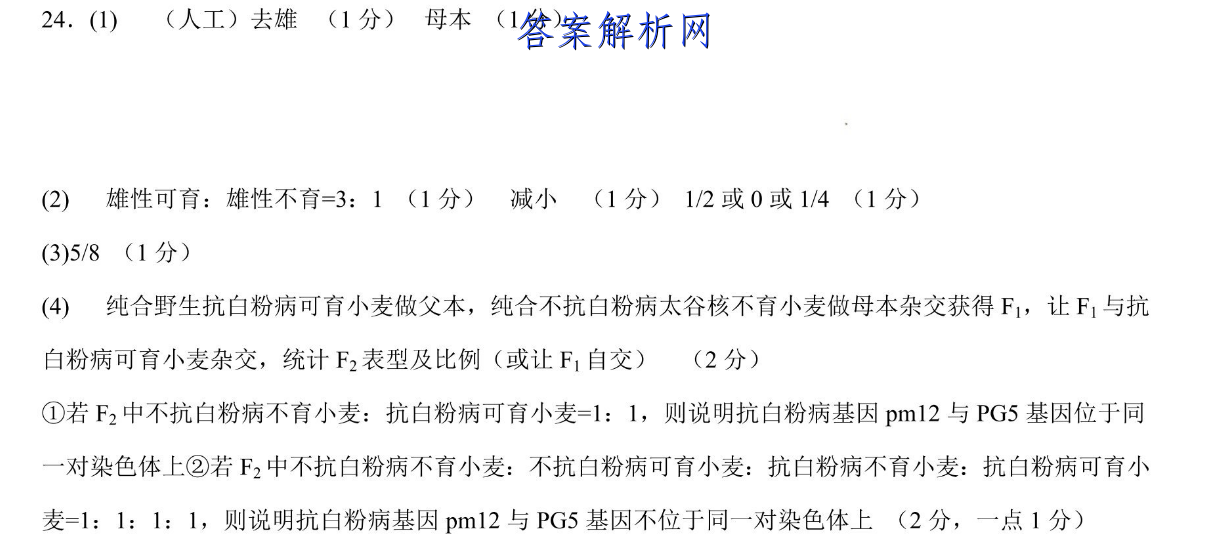 image.png@!test