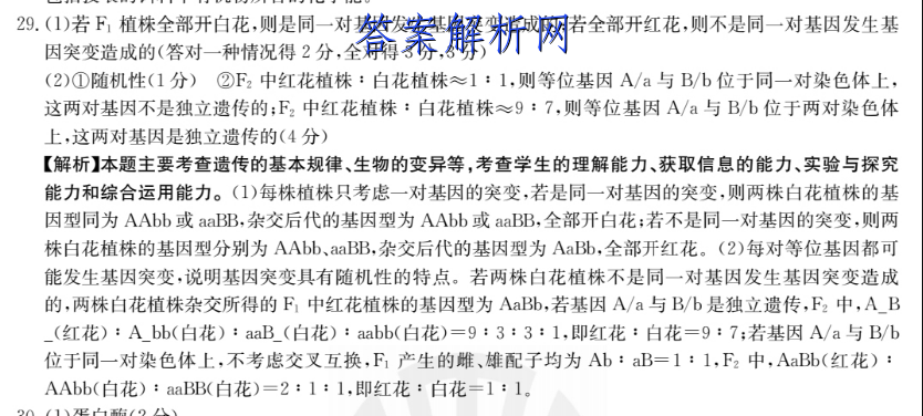 image.png@!test