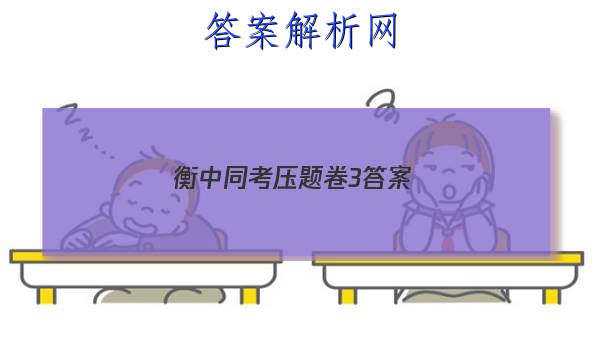 「2023衡中同考压题卷3
答案」衡中同卷分科综合卷三