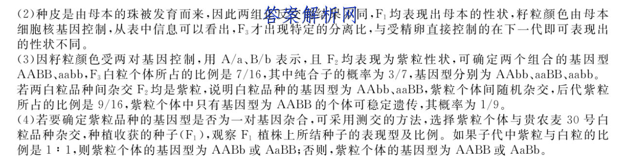 image.png@!test