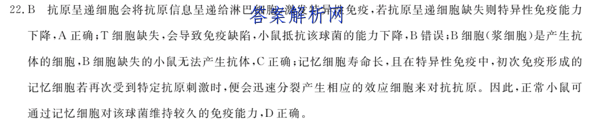 image.png@!test