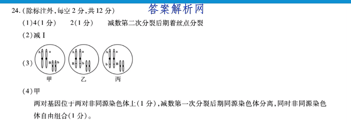 image.png@!test
