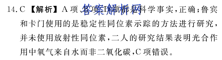 image.png@!test