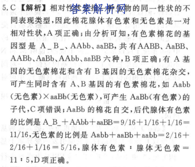 image.png@!test