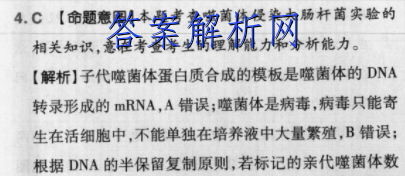 image.png@!test