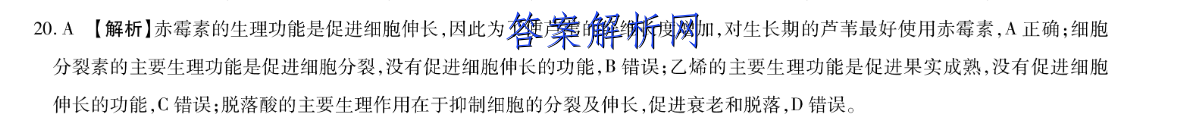 image.png@!test