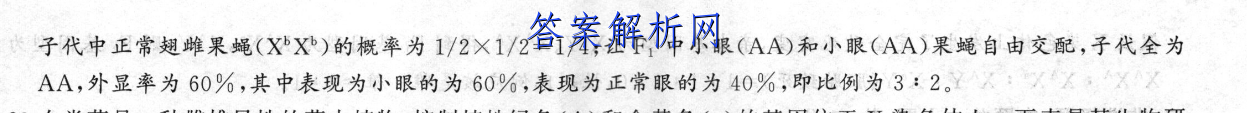 image.png@!test