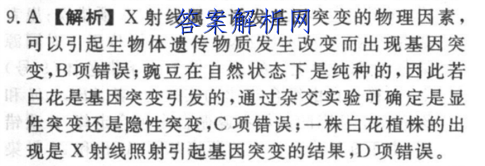 image.png@!test