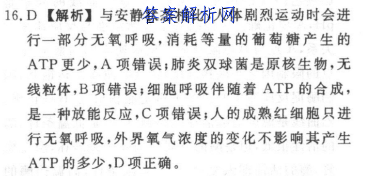 image.png@!test