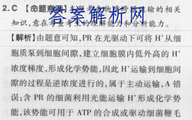 image.png@!test