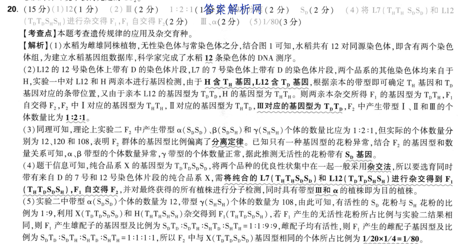 image.png@!test