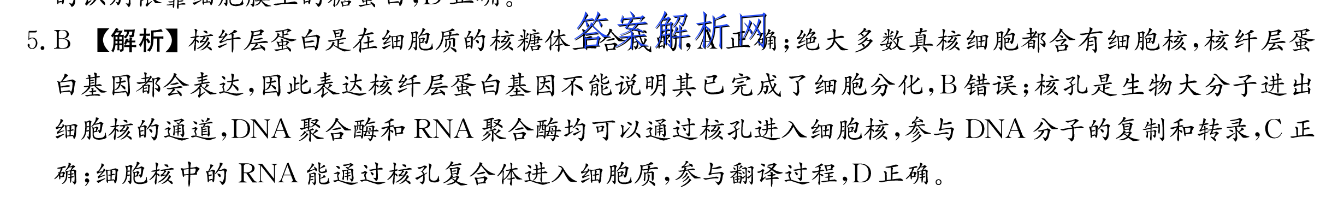 image.png@!test