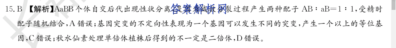 image.png@!test