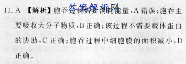 image.png@!test