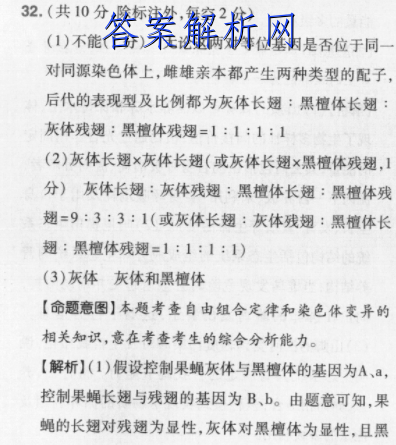 image.png@!test