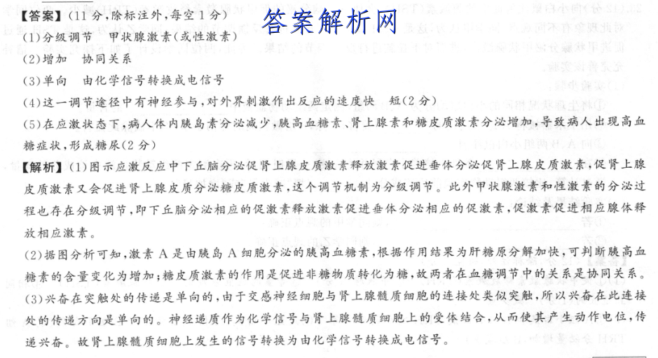 2023ɽʡʮ°У(23-54C)ͼƬ